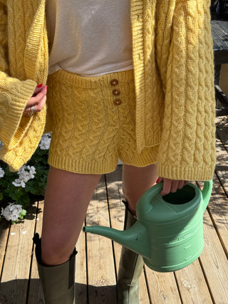 Iris Shorts | Sun Ray